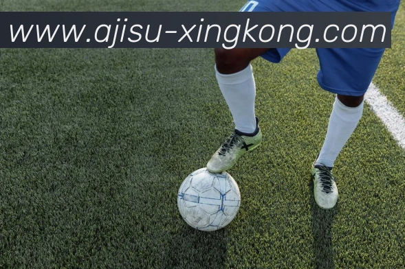 多媒体互动体验